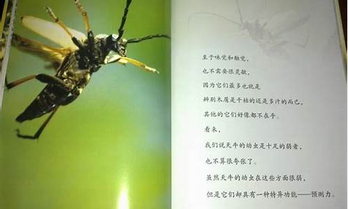 关于观察昆虫的作文500字_关于观察昆虫