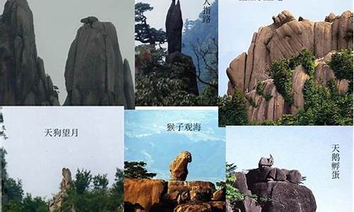 黄山奇石教案逐字稿_黄山奇石教案