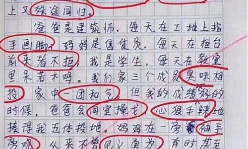 四年级小学生作文我的中国梦