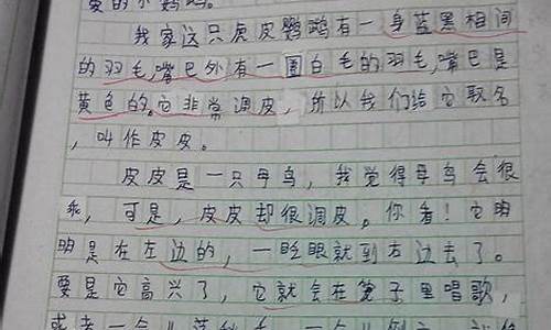 动物的故事作文600字初二作文_动物的故事作文600字初二作文怎么写