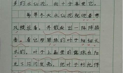 凤仙花的作文300字小学生_凤仙花的作文300字小学生怎么写