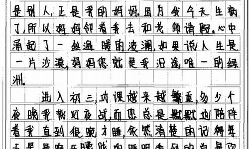 小学升初中作文800字说明文